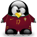 Penguin pingouin pinguino 213
